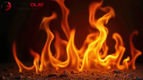 Alanya'da 5 yıldızlı otelin geri dönüşüm deposunda yangın
