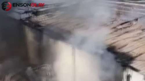 Adana'da narenciye paketleme tesisinde yangın