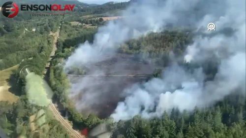 Correze Bölgesindeki Orman Yangını Kontrol Altına Alındı
