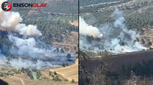 Bursa Büyükorhan'da orman yangını