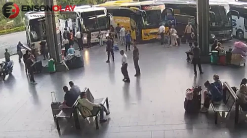 Antalya Otobüs Terminali'nde kerevit operasyonu : 90 kilogram canlı tatlı su kereviti bulundu