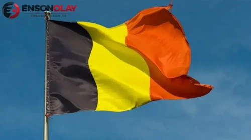 Belçika'da 10 katlı binada yangın
