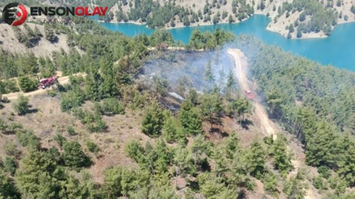Kahramanmaraş'ta Çıkan Orman Yangını Kontrol Altına Alındı