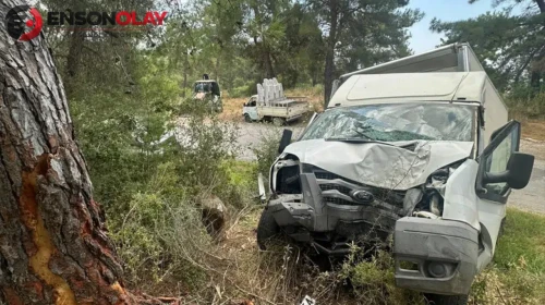 Alanya'da kamyonet yol kenarındaki ağaca çarptı : Sürücü öldü, yolcu ağır yaralı
