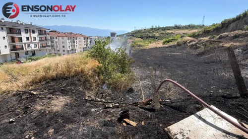 Düzce'de çıkan yangın kısa sürede büyüdü: 5 dönüm arazide tahribat meydana geldi