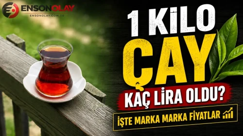 Çay fiyatları adeta tavan yaptı: 1 kilo çayın fiyatı rekor seviyeye çıktı!