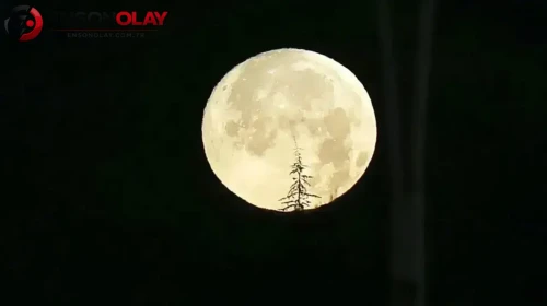 Geyik Dolunayı ne zaman gerçekleşecek ve Türkiye'den görülebilecek mi?