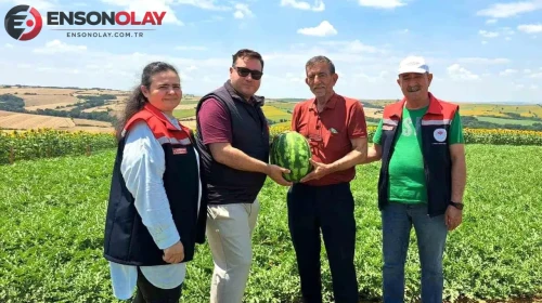 Tekirdağ'da Karpuz Hasadı Sezonu Başladı, Üreticiler Sevinçli!