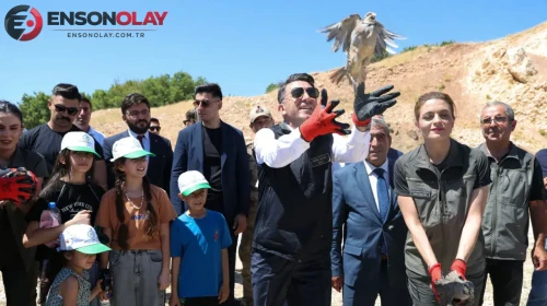 Tunceli'de kene mücadelesi : 500 keklik doğaya salındı