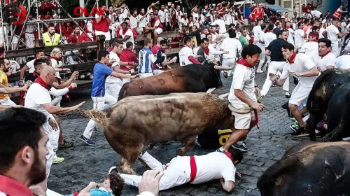 İspanya'daki boğa koşularının 8 günlük bilançosu: 70'ten fazla yaralı