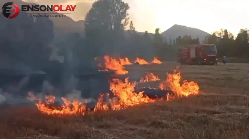 Mardin Derik’te anız yangını : Havadan ve karadan müdahale