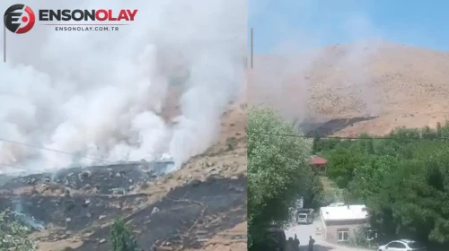 Bitlis'te yangın nedeniyle binlerce arı telef oldu