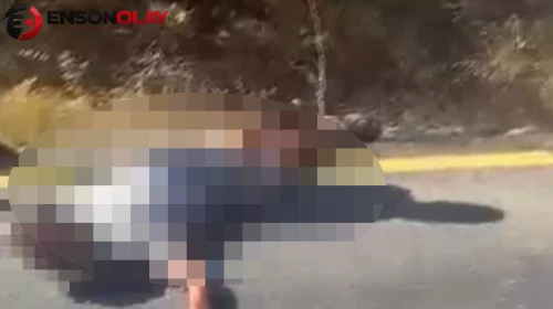 İstanbul'da gerçekleşen sır cinayet 12 yıl sonra çözüldü