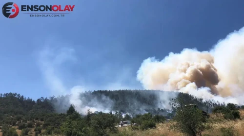 Balıkesir Kepsut'ta ormanlık alanda yangın