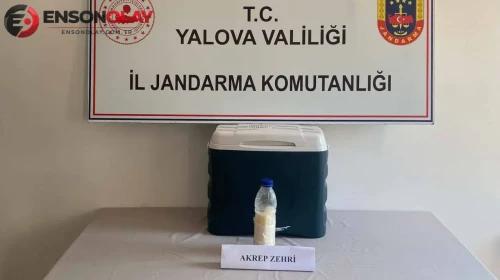 Suriye'den Yalova'ya getirilen 5 milyon dolarlık akrep zehri ele geçirildi : Değeri dudak uçuklattı
