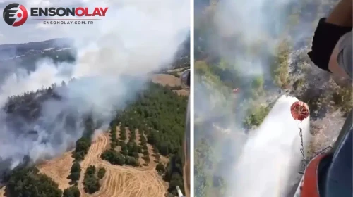 Balıkesir Altıeylül’de yangın çıktı : Alevler ormanlık alana sıçradı