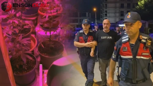 Yönetmen Ezel Akay'ın evinden çıkanlar hayrete düşürdü: Ev değil kenevir tarlası!