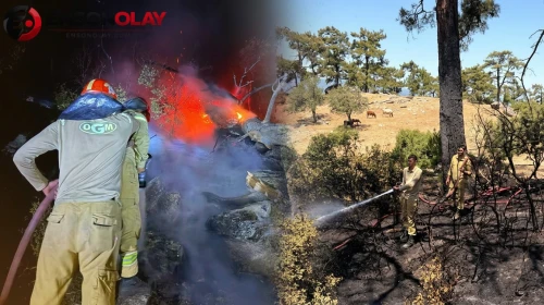 Yatağan'da Devam Eden Orman Yangınına Ekipler Anında Müdahale Ediyor