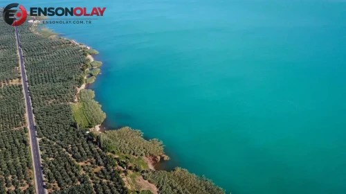 Doğal Harika İznik Gölü'nün Sıra Dışı Renk Değişimi!