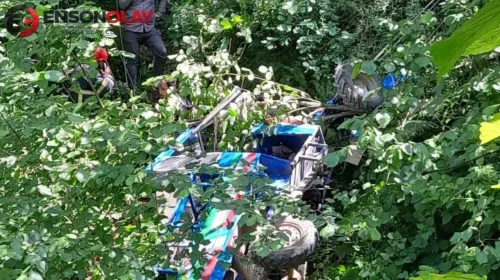 Ordu'da patpat devrildi, sürücüsü hayatını kaybetti