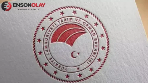 Tarım ve Orman Bakanlığı'nın denetimleri sonucunda 9 farklı üründe tek tırnaklı eti tespit edildi