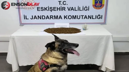 Eskişehir'de 361 gram bonzai ele geçirildi : Şüpheli tutuklandı