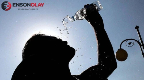 Almanya'da sıcak hava bilançosu ağırlaşıyor: 12 bin 500 can kaybı