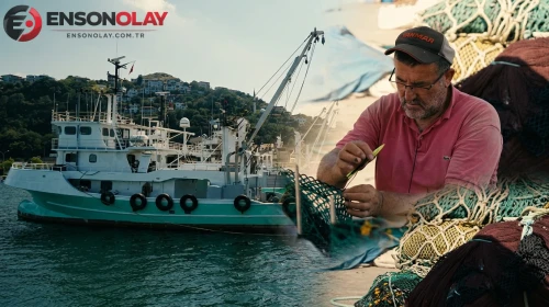 Karadeniz'den müjdeli haber geldi! Balıkçılar duyurdu: Bu sezon palamuda doyacağız