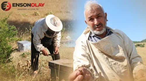 Şehrin stresini bıraktı, Toroslar'ın zirvesine yerleşti! Emekli imamın karakovan balı kapış kapış gidiyor