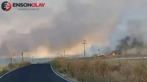 Polatlı ilçesinde çıkan yangında 250 dönüm alan kül oldu, şüpheli suçüstü yakalandı