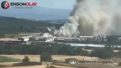 Bursa'nın Osmangazi ilçesindeki Tavuk Çiftliğinde Çıkan Yangın Paniğe Neden Oldu