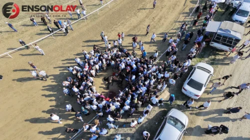 Kastamonu'da Gerçekleşen Yarışta İki At Çarpışarak Hayatını Kaybetti, Jokey ise Son Anda Kurtulmayı Başardı
