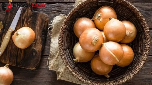 Soğan fiyatları yükselirken ekimin azalması etkili oldu mu?