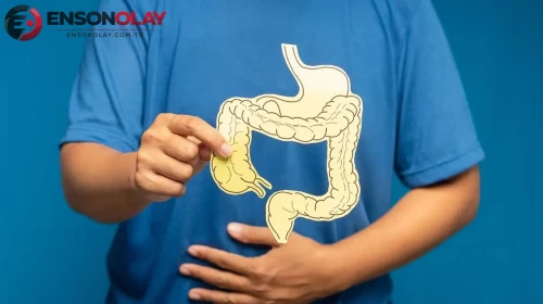 Stres mide ve bağırsak sağlığını nasıl etkiliyor?