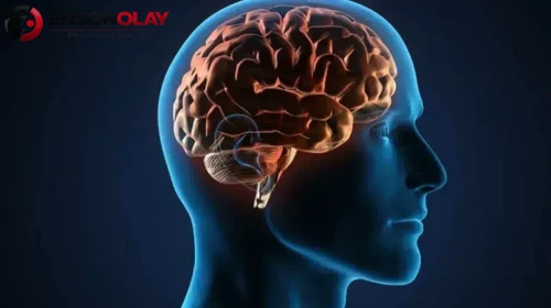 Hafızanızı rahatlatmanın yolları neler?