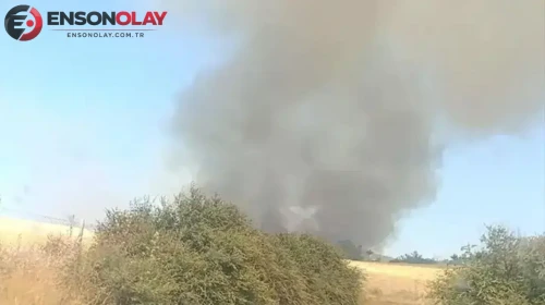 Çanakkale Ezine'de orman yangını : Alevlere havadan ve karadan müdahale ediliyor