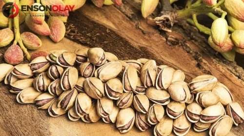 Antep fıstığının kilosu ne kadar oldu?