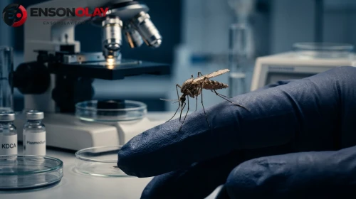 Asya ülkesinde sıtma alarmı: Sivrisineklerde parazit genetiği tespit edildi