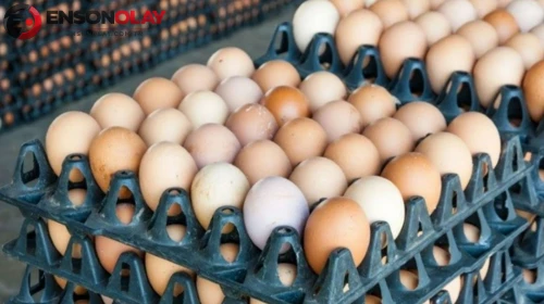 ABD'de Salmonella Şüphesiyle Geri Çağırılan Milyonlarca Yumurta Krizi Büyüyor