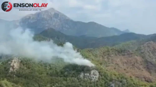 Antalya Kemer'de orman yangını : Havadan ve karadan müdahale başlatıldı