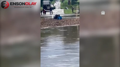 ABD'de sel sularında mahsur kalan atlar böyle kurtarıldı
