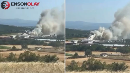 Bursa Mudanya'da tavuk çiftliğinde yangın: İtfaiye ekipleri müdahale ediyor