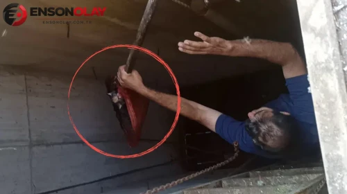 Namaz kılmak için indi, yavru kedinin sesini duydu ! 5 metrelik kuyudan kurtardı