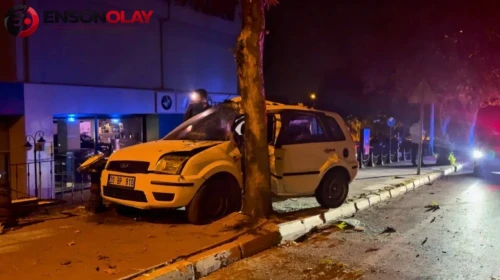 Denizli'de otomobil kontrolden çıktı : Sürücü yaralandı