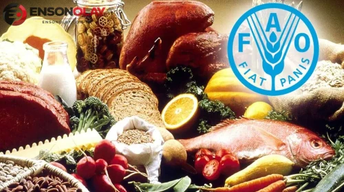 FAO'dan önemli uyarılar : Gıda fiyatları yıl sonunda yükselir mi?