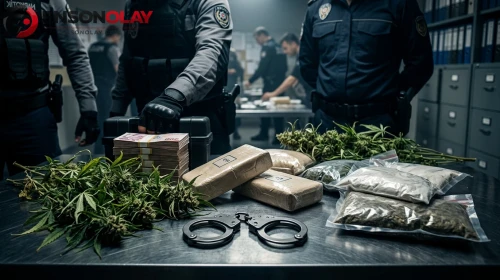 Sosyal medyadan uyuşturucu satan şebekeye 28 ilde dev darbe! Tonlarca kenevir imha edildi, 69 tutuklama