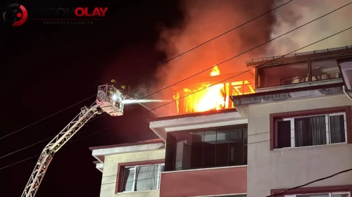 Bolu'da İtfaiye Ekipleri Temmuz Ayında 193 Olaya Müdahale Etti