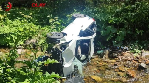 Giresun'da otomobil dereye devrildi : 6 kişi tedavi altına alındı