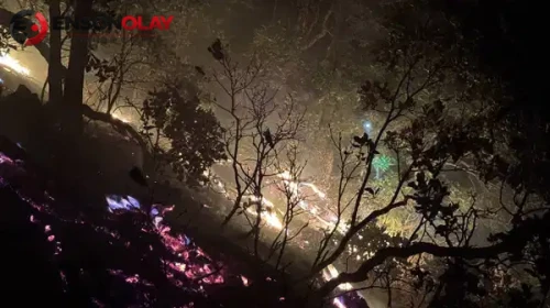 Munzur Vadisi Milli Parkı'ndaki yangın 4 günde söndürüldü