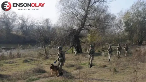 Edirne'de 9 kaçak göçmen yakalandı : 2 organizatör tutuklandı